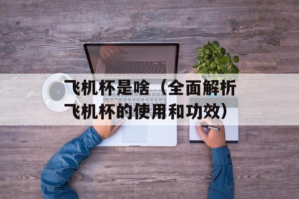 飞机杯是啥（全面解析飞机杯的使用和功效）-第1张图片-