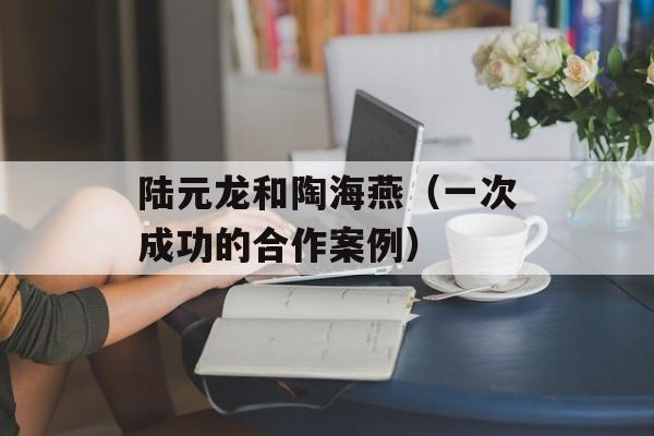 陆元龙和陶海燕（一次成功的合作案例）-第1张图片-
