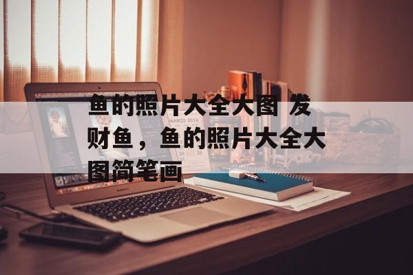 鱼的照片大全大图 发财鱼，鱼的照片大全大图简笔画-第1张图片-