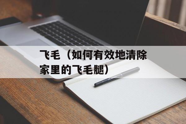飞毛（如何有效地清除家里的飞毛腿）-第1张图片-