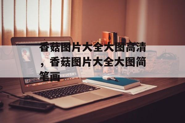 香菇图片大全大图高清，香菇图片大全大图简笔画-第1张图片-