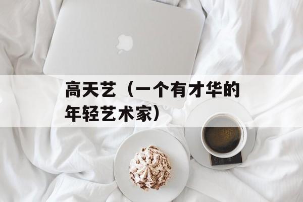 高天艺（一个有才华的年轻艺术家）-第1张图片-