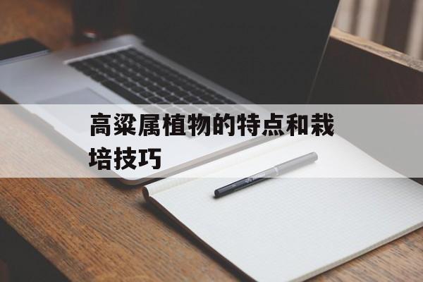 高粱属植物的特点和栽培技巧-第1张图片-