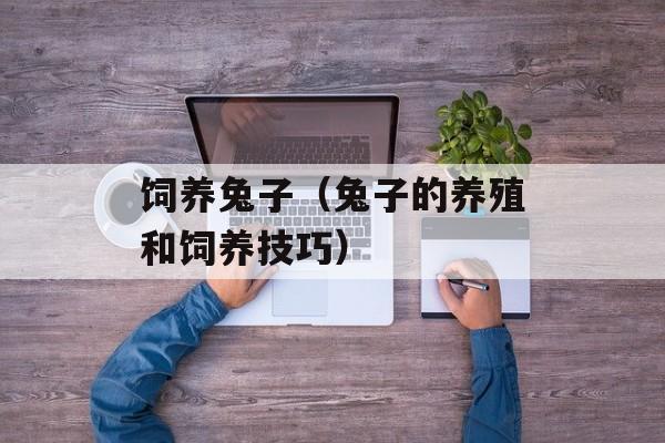 饲养兔子（兔子的养殖和饲养技巧）-第1张图片-