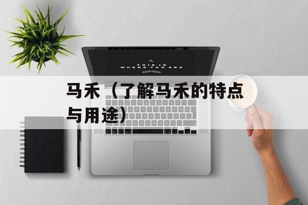 马禾（了解马禾的特点与用途）-第1张图片-