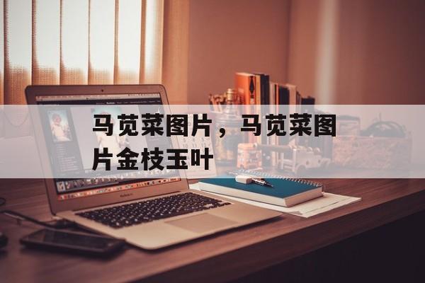 马苋菜图片，马苋菜图片金枝玉叶-第1张图片-