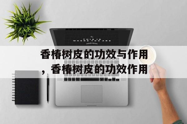 香椿树皮的功效与作用，香椿树皮的功效作用-第1张图片-
