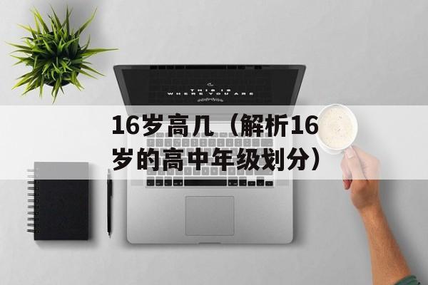 16岁高几（解析16岁的高中年级划分）-第1张图片-