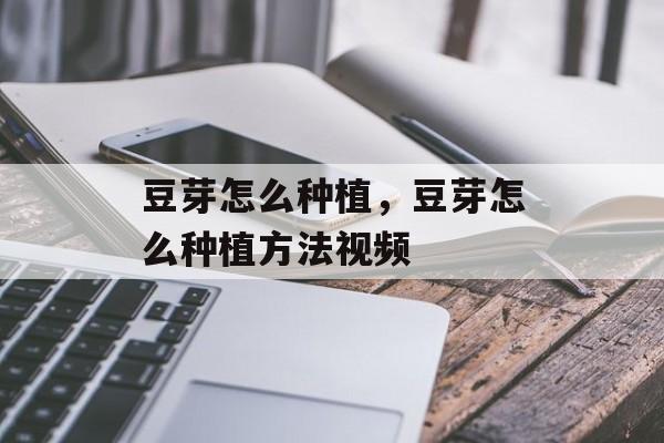 豆芽怎么种植，豆芽怎么种植方法视频-第1张图片-
