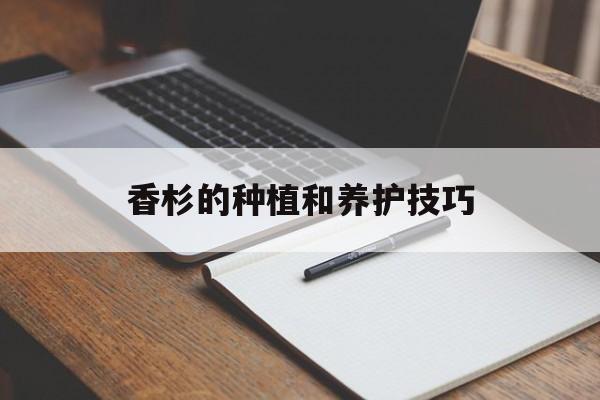 香杉的种植和养护技巧-第1张图片-