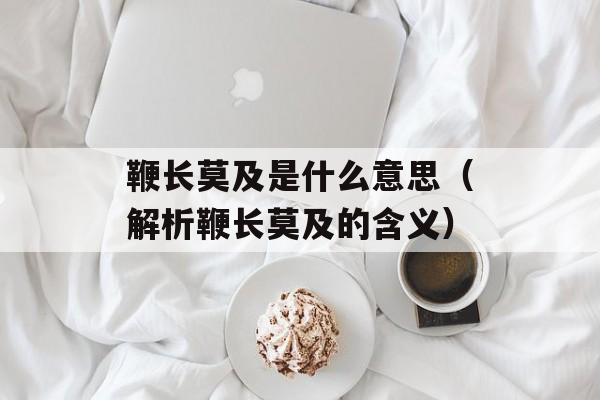 鞭长莫及是什么意思（解析鞭长莫及的含义）-第1张图片-