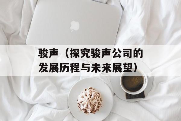 骏声（探究骏声公司的发展历程与未来展望）-第1张图片-