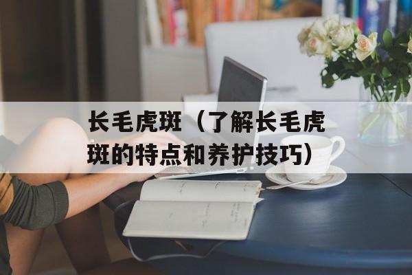 长毛虎斑（了解长毛虎斑的特点和养护技巧）-第1张图片-