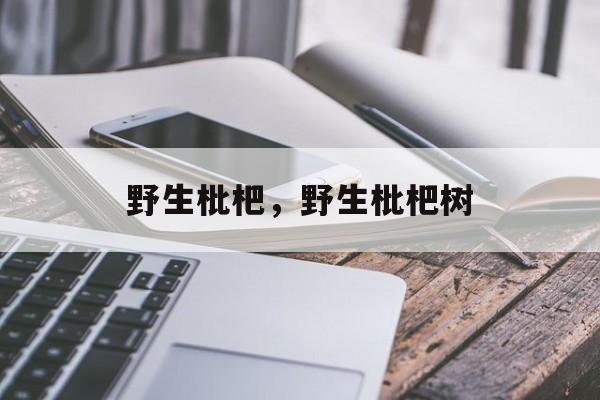 野生枇杷，野生枇杷树-第1张图片-