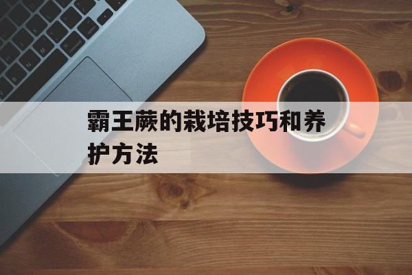 霸王蕨的栽培技巧和养护方法-第1张图片-