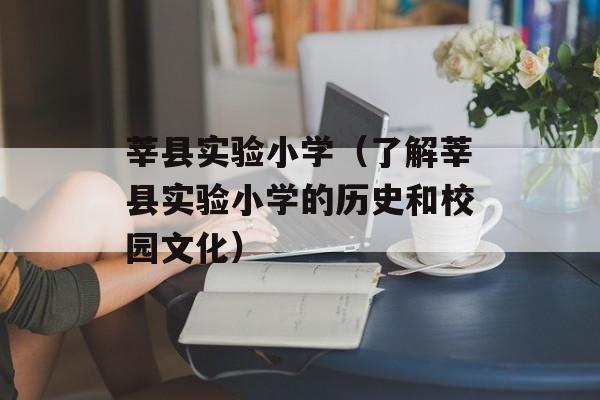 莘县实验小学（了解莘县实验小学的历史和校园文化）-第1张图片-