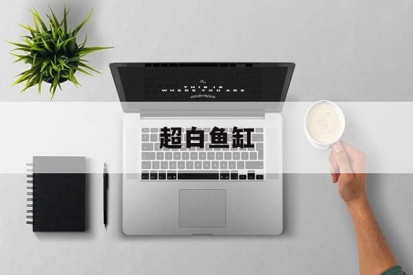 超白鱼缸-第1张图片-
