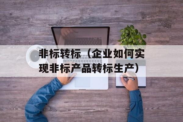 非标转标（企业如何实现非标产品转标生产）-第1张图片-