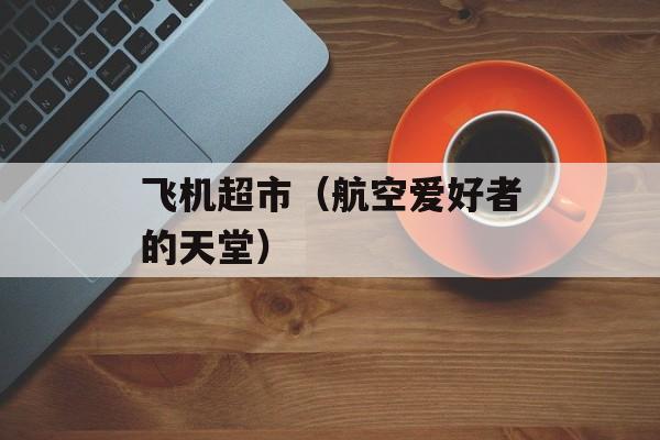 飞机超市（航空爱好者的天堂）-第1张图片-