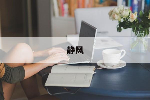 静风-第1张图片-