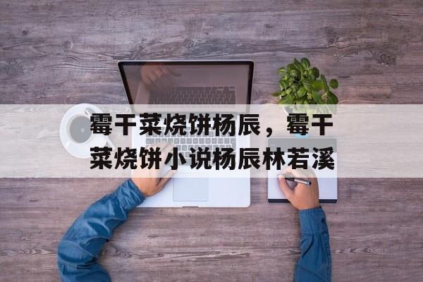 霉干菜烧饼杨辰，霉干菜烧饼小说杨辰林若溪-第1张图片-
