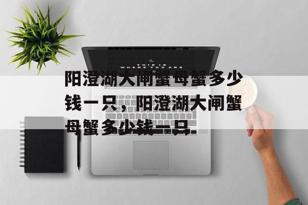 阳澄湖大闸蟹母蟹多少钱一只，阳澄湖大闸蟹母蟹多少钱一只-第1张图片-