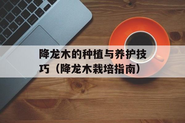 降龙木的种植与养护技巧（降龙木栽培指南）-第1张图片-