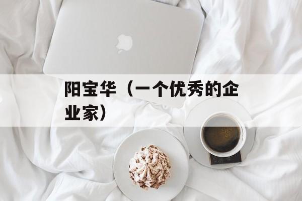 阳宝华（一个优秀的企业家）-第1张图片-