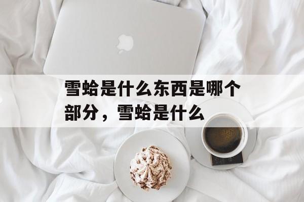 雪蛤是什么东西是哪个部分，雪蛤是什么-第1张图片-