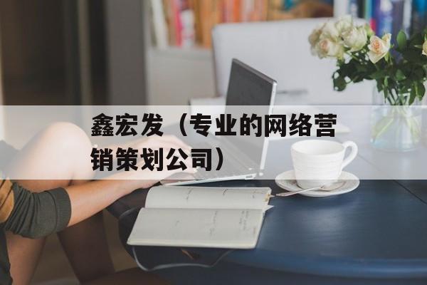 鑫宏发（专业的网络营销策划公司）-第1张图片-