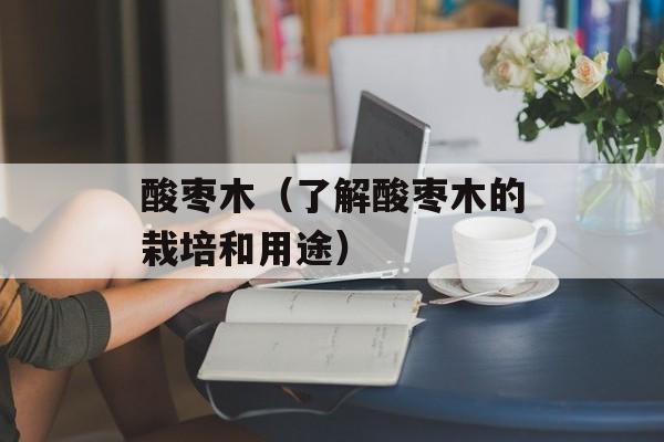 酸枣木（了解酸枣木的栽培和用途）-第1张图片-