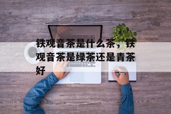 铁观音茶是什么茶，铁观音茶是绿茶还是青茶好-第1张图片-