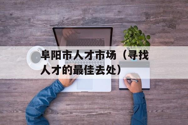 阜阳市人才市场（寻找人才的最佳去处）-第1张图片-