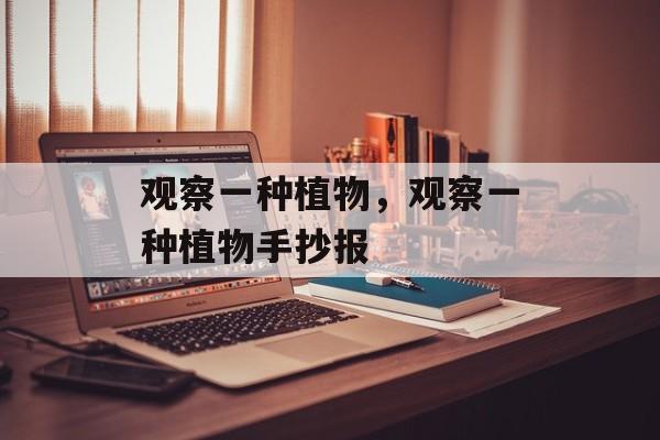 观察一种植物，观察一种植物手抄报-第1张图片-