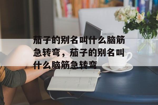 茄子的别名叫什么脑筋急转弯，茄子的别名叫什么脑筋急转弯-第1张图片-