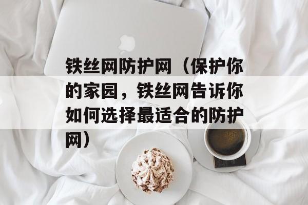 铁丝网防护网（保护你的家园，铁丝网告诉你如何选择最适合的防护网）-第1张图片-
