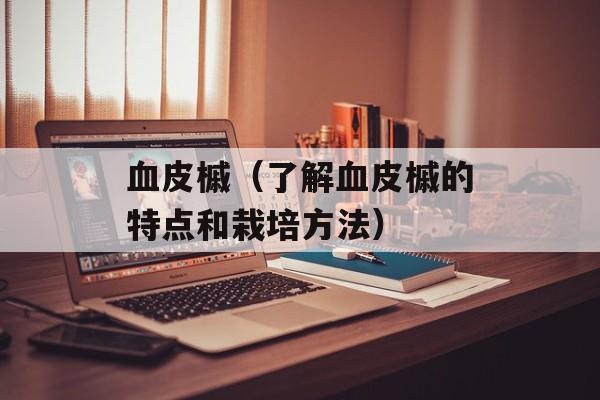 血皮槭（了解血皮槭的特点和栽培方法）-第1张图片-