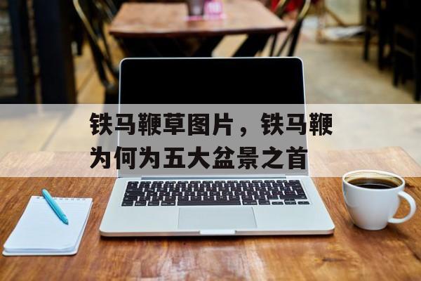 铁马鞭草图片，铁马鞭为何为五大盆景之首-第1张图片-