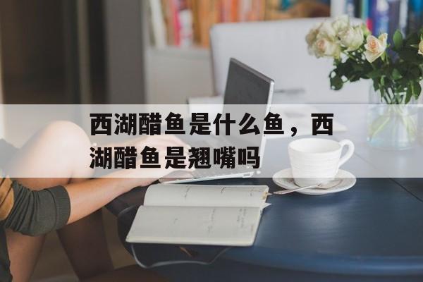 西湖醋鱼是什么鱼，西湖醋鱼是翘嘴吗-第1张图片-