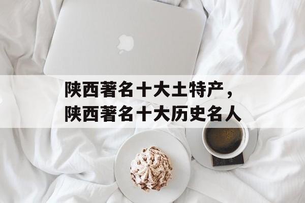 陕西著名十大土特产，陕西著名十大历史名人-第1张图片-