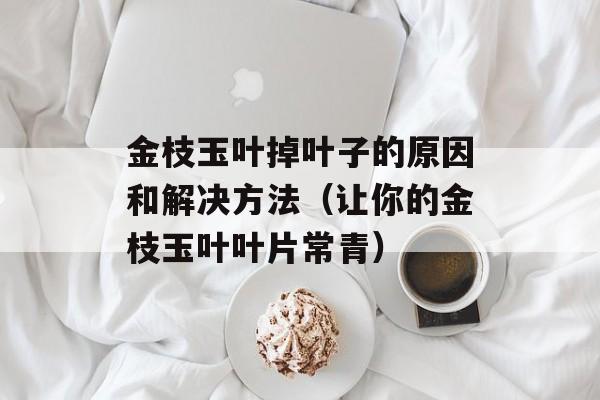 金枝玉叶掉叶子的原因和解决方法（让你的金枝玉叶叶片常青）-第1张图片-