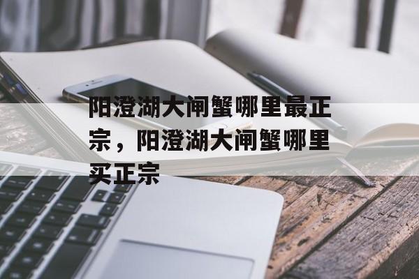 阳澄湖大闸蟹哪里最正宗，阳澄湖大闸蟹哪里买正宗-第1张图片-