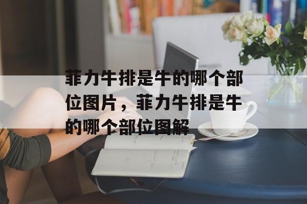 菲力牛排是牛的哪个部位图片，菲力牛排是牛的哪个部位图解-第1张图片-