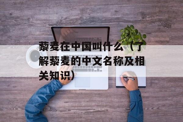 藜麦在中国叫什么（了解藜麦的中文名称及相关知识）-第1张图片-