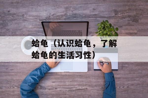 蛤龟（认识蛤龟，了解蛤龟的生活习性）-第1张图片-