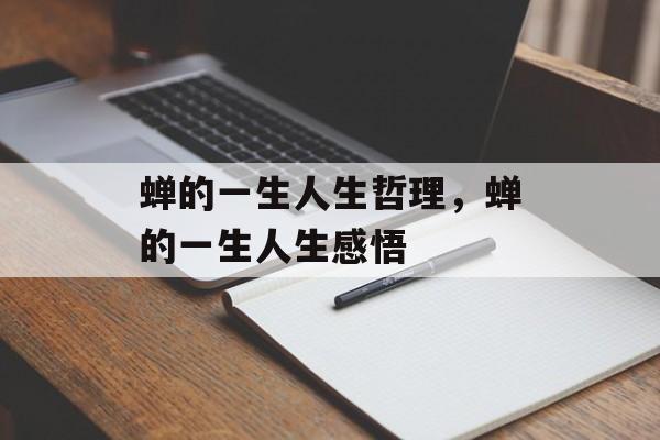 蝉的一生人生哲理，蝉的一生人生感悟-第1张图片-
