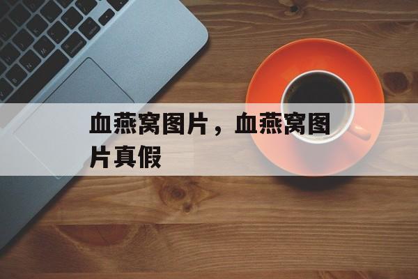 血燕窝图片，血燕窝图片真假-第1张图片-
