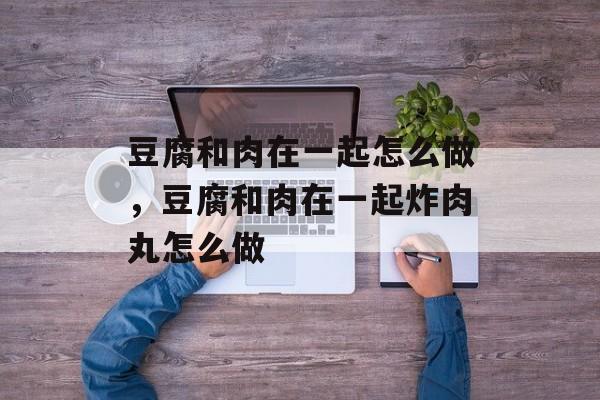 豆腐和肉在一起怎么做，豆腐和肉在一起炸肉丸怎么做-第1张图片-