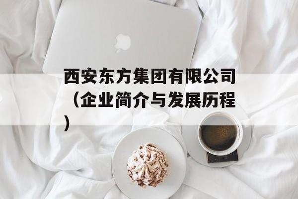 西安东方集团有限公司（企业简介与发展历程）-第1张图片-