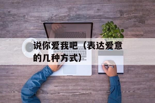 说你爱我吧（表达爱意的几种方式）-第1张图片-